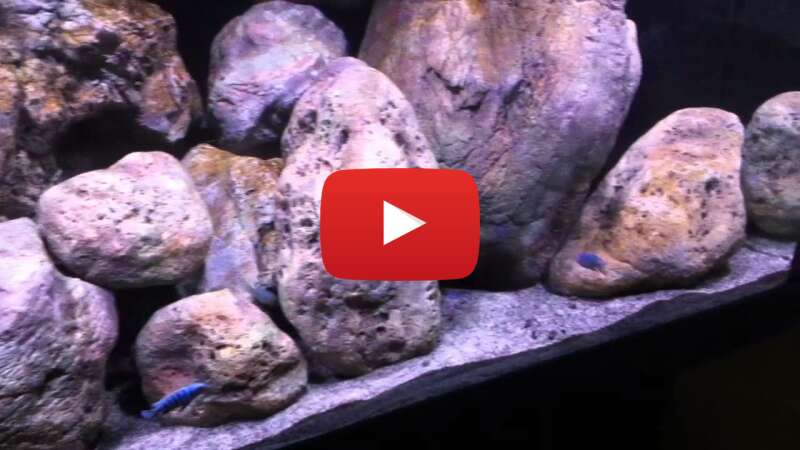 Video F2BMG6tZO2E abspielen