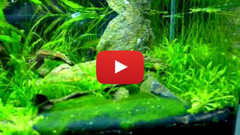 Video FXOqzq3w5tI abspielen