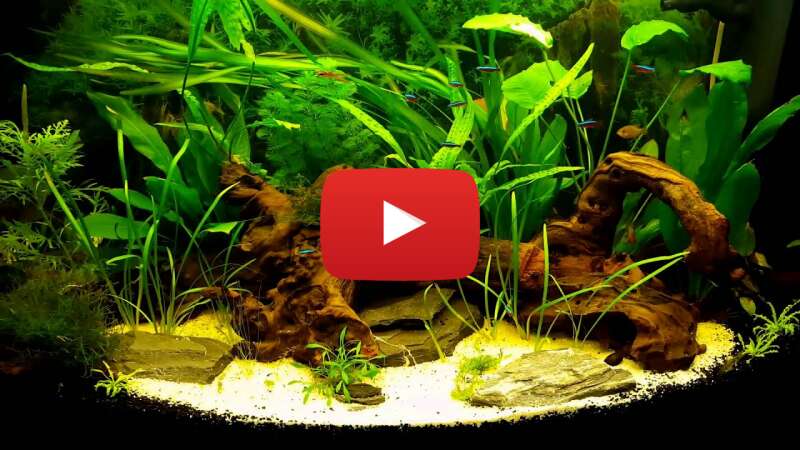 Video G1x72PobkDw abspielen