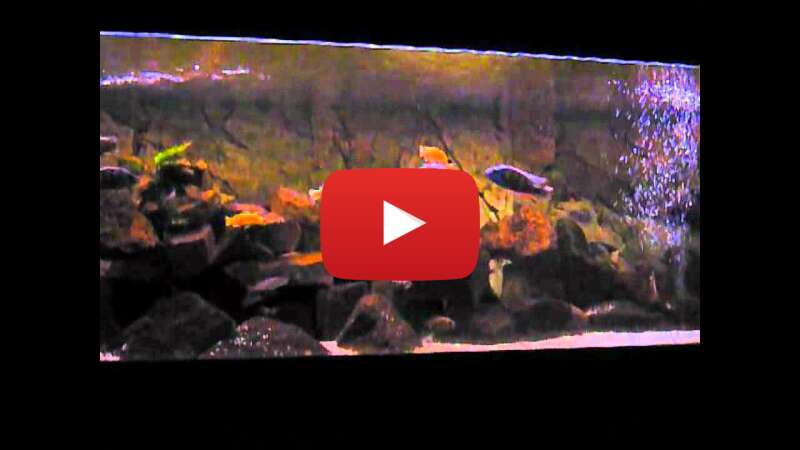 Video G3w4qOAtYFE abspielen