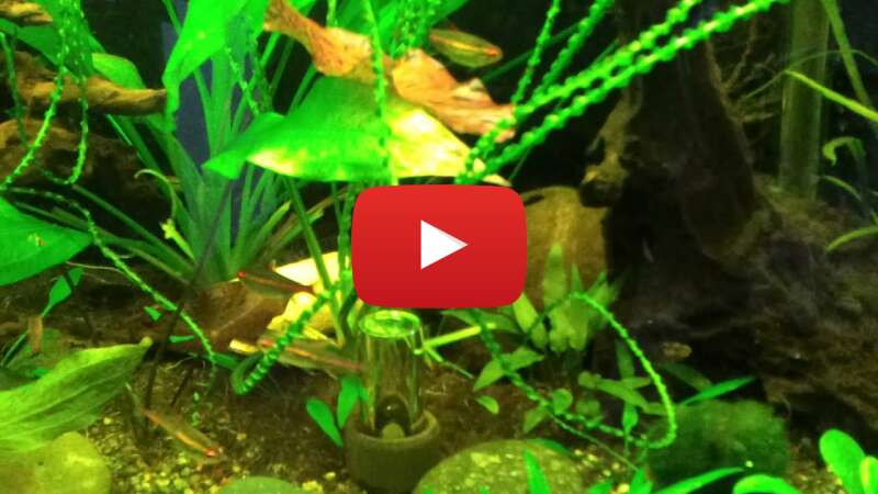 Video GLDJ79_WfxE abspielen