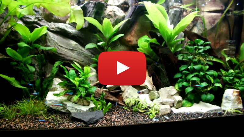 Video GgFq3oFgh4g abspielen