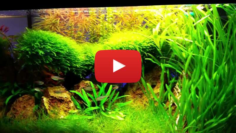 Video GjxjcswxuvQ abspielen