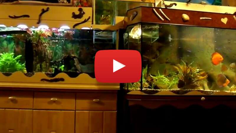 Video GkVriY7GrNE abspielen