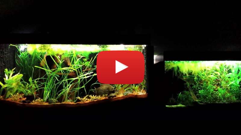 Video Gt7a8BAspw4 abspielen