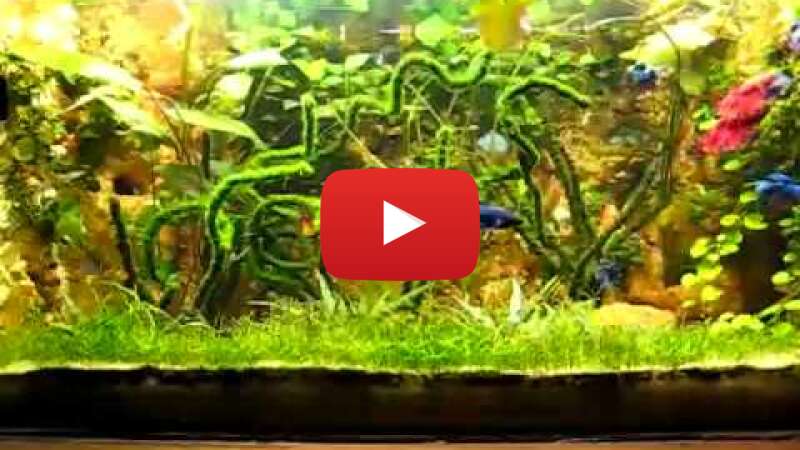 Video HHTyN8nBG7s abspielen