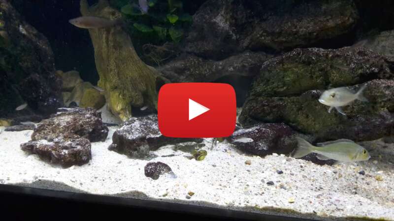 Video HQn-t9UNhTE abspielen