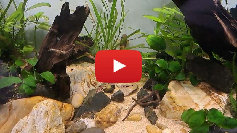 Video HccEyS6OM-Q abspielen