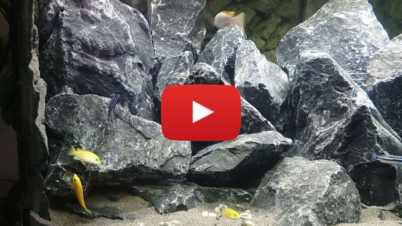 Video HdOW6YNK5J8 abspielen