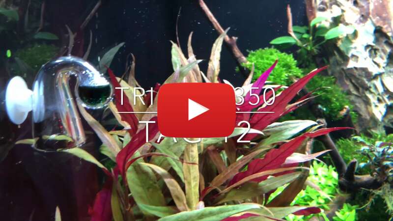 Video HhgEvzf1OC0 abspielen