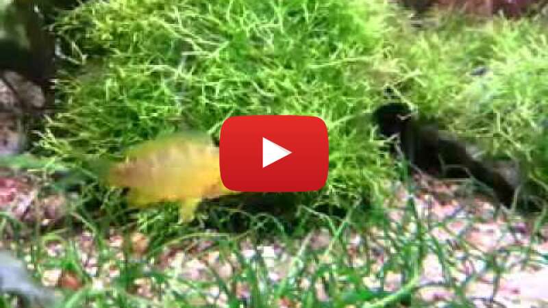 Video Htx9_rfv4bc abspielen