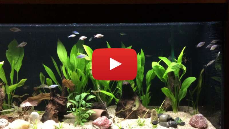 Video I4U52qzXYqY abspielen