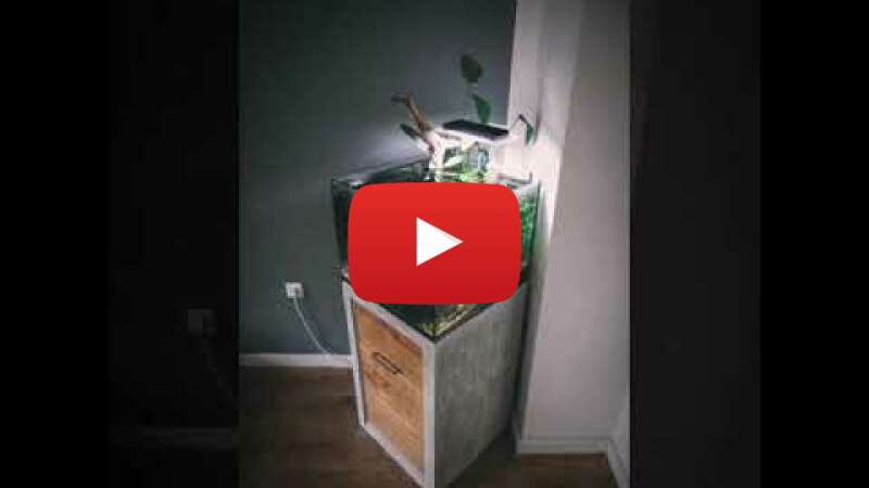 Video JESPXuOSaHQ abspielen