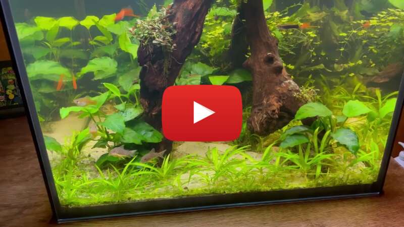 Video JVj2xVI49d8 abspielen