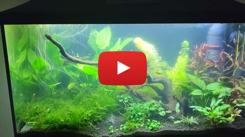 Video JcL9IGfC4cw abspielen