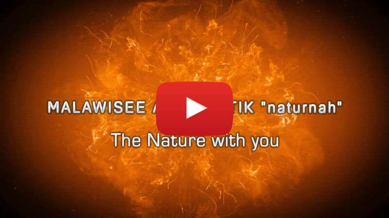 Video JkVAs2Q9UWg abspielen