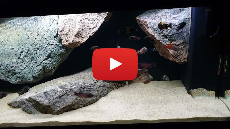 Video K6zwSwip6O0 abspielen