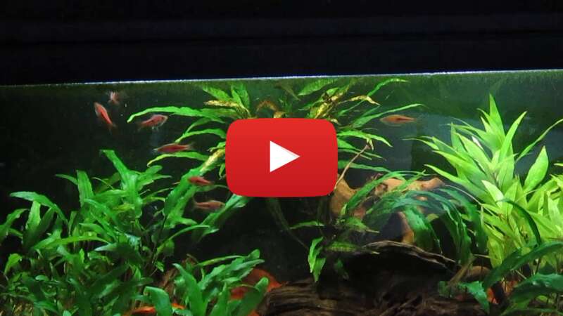 Video K7No59tCMrY abspielen