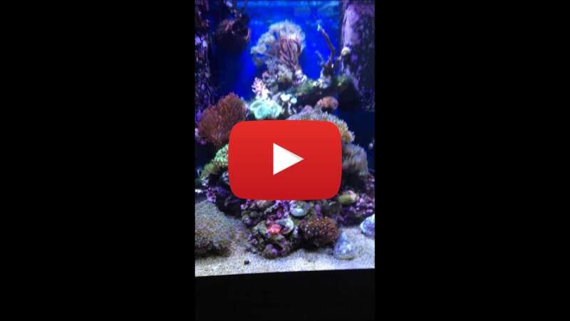 Video KGUQTx5Zywo abspielen