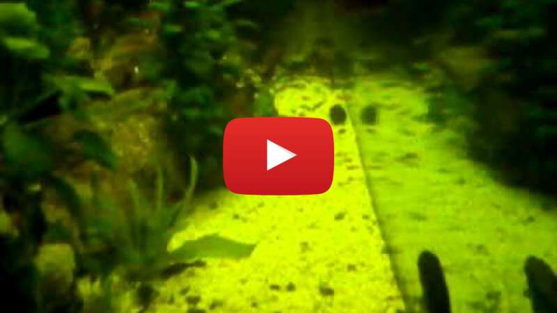 Video KGpMmJJkzdU abspielen