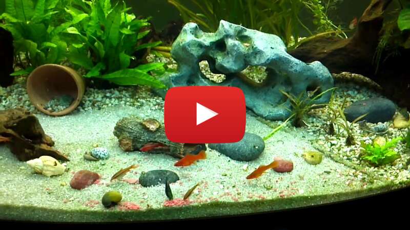 Video KeoGdCZ4jPM abspielen