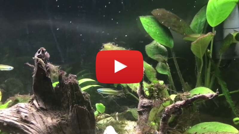 Video Kx3ddf-0C1g abspielen