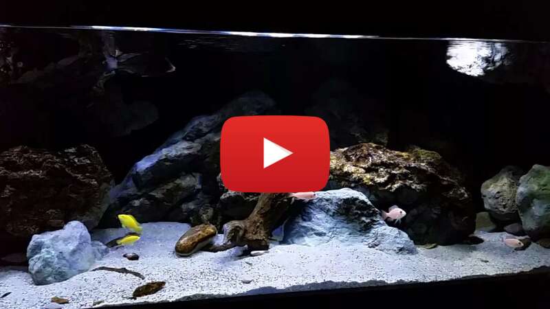 Video LT4UbG-C_vo abspielen