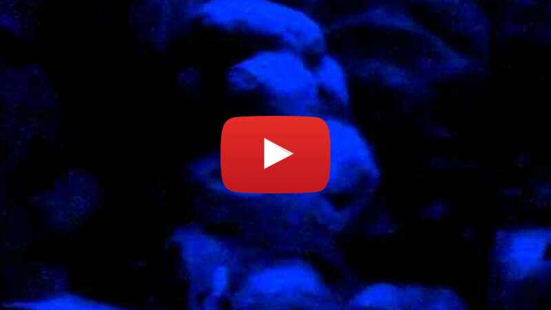 Video LlR6xh6-uh8 abspielen