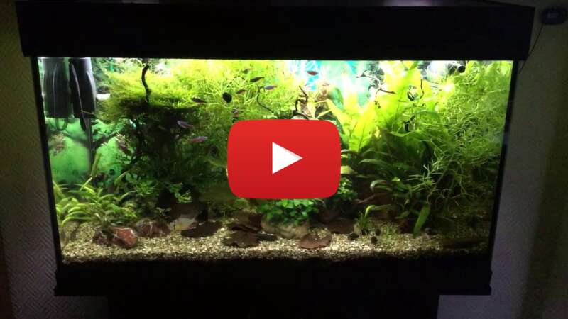 Video LoKV10xMtsI abspielen