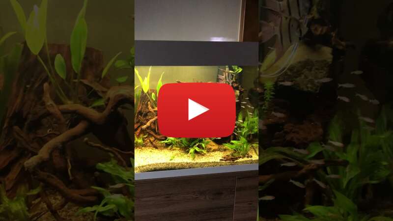 Video LucYlRevuws abspielen