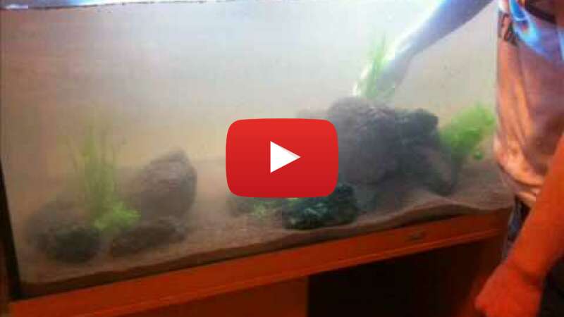 Video M424sO_HdUc abspielen