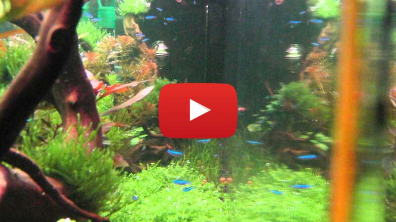 Video MKrd0PhAKbw abspielen