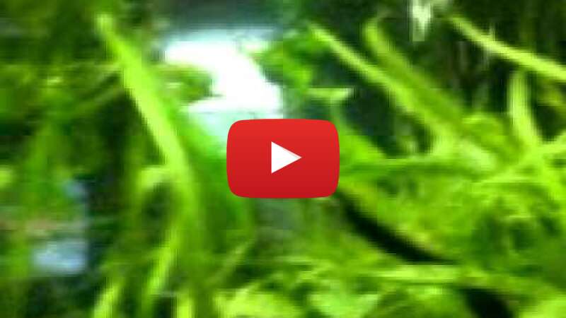 Video MMPjXnqBPIg abspielen