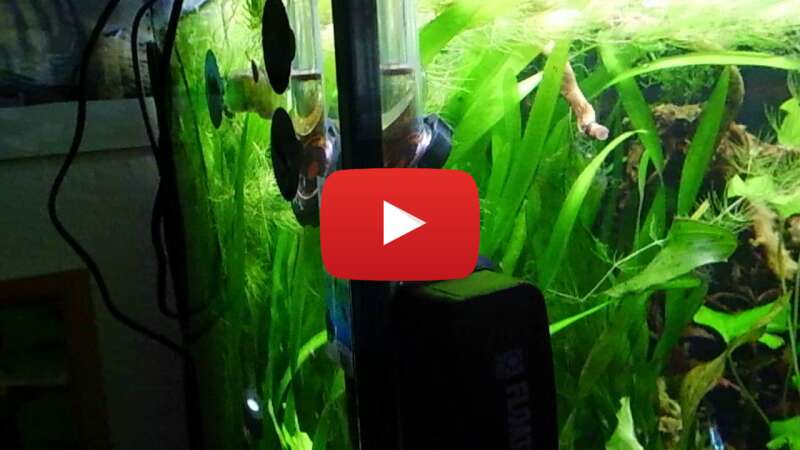 Video MOQhLhV0tuU abspielen