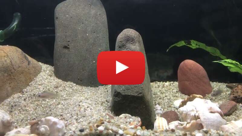 Video MTKum2Kk3-U abspielen