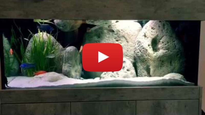 Video N3xccmS-_lA abspielen