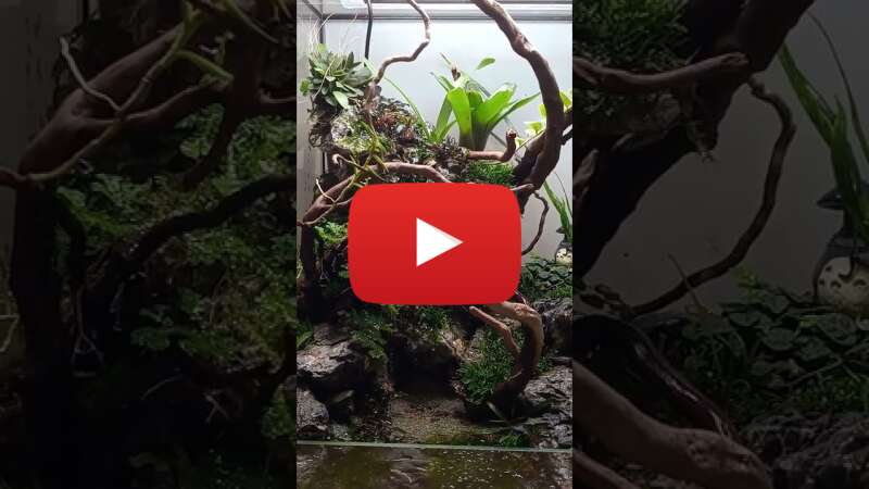 Video N9pr3FU9BYQ abspielen