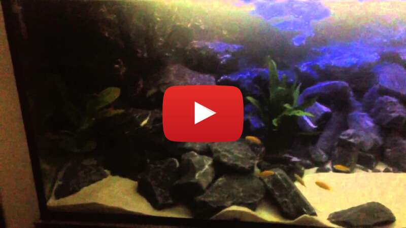 Video N9vEaDArJhA abspielen