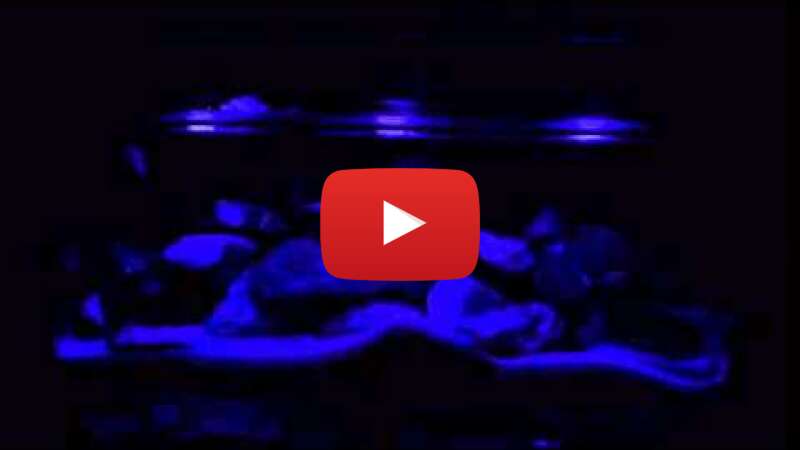 Video NrjBvWPnG3k abspielen