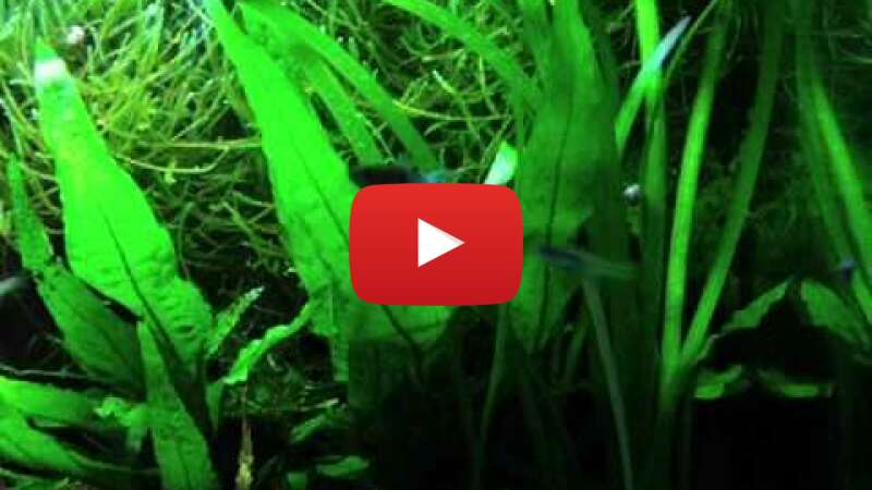 Video NyHYDasT8ak abspielen