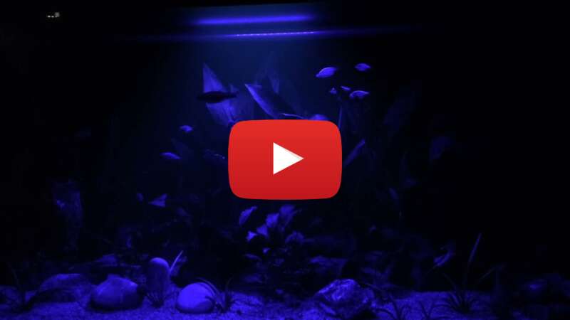 Video O86fBKSvBzQ abspielen