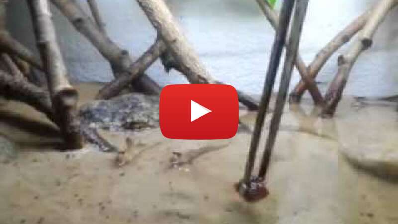 Video OkJTc8YoKI4 abspielen