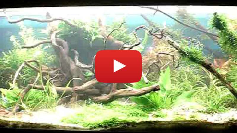 Video Oq5Csa5Hn-c abspielen