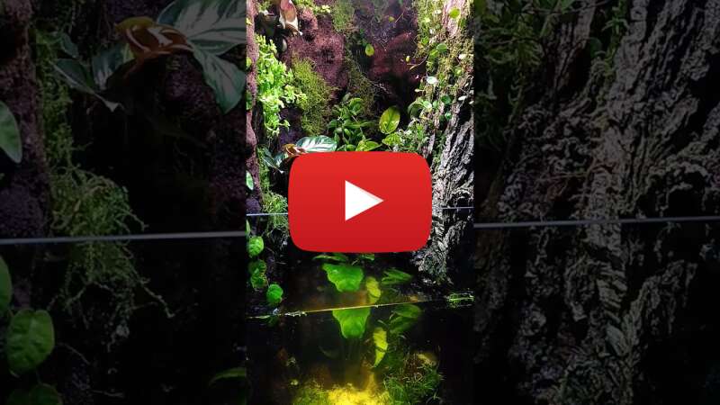 Video P3thMe-YWe0 abspielen