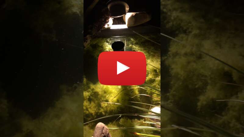 Video PUHglXyTyas abspielen