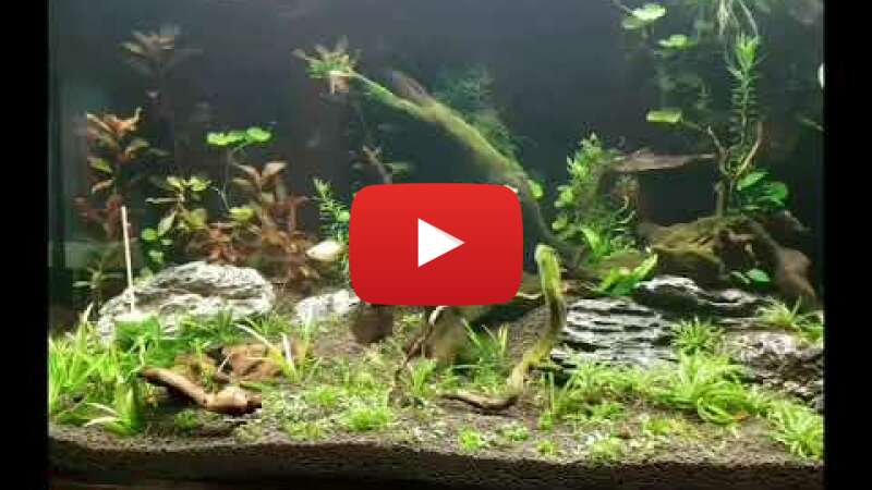 Video PUOfhEtMm04 abspielen