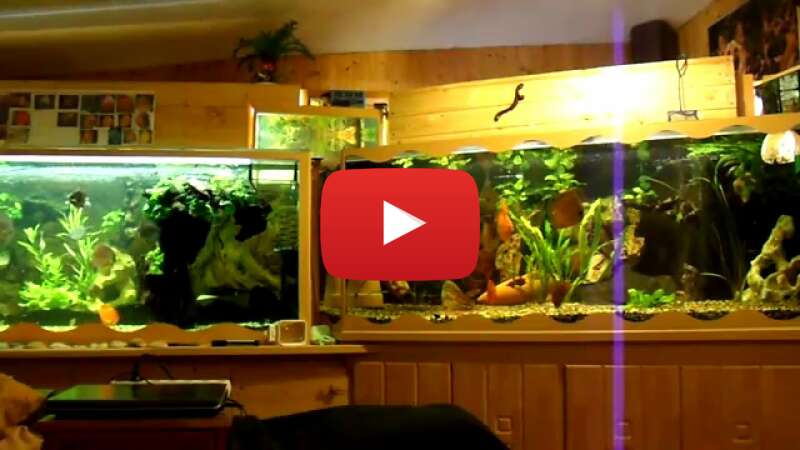 Video Phdt8ROhZE0 abspielen