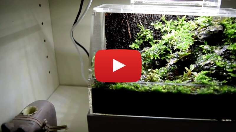 Video PmUZyJjNa6M abspielen