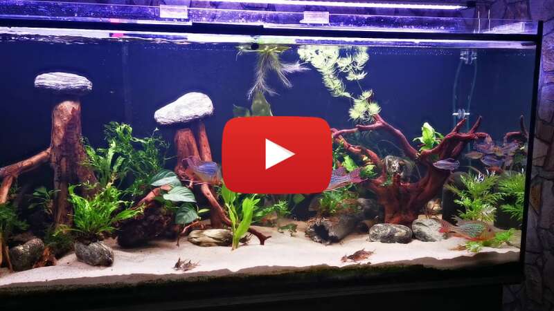 Video PuATvL5uNx8 abspielen