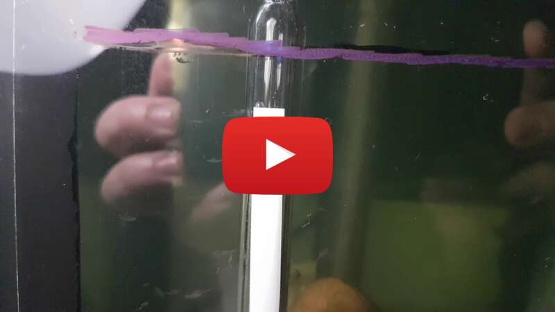 Video QQnHYM_W7D4 abspielen